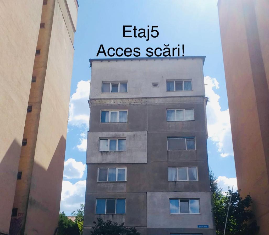 Zizi'S House Garii Lejlighed Braşov Eksteriør billede
